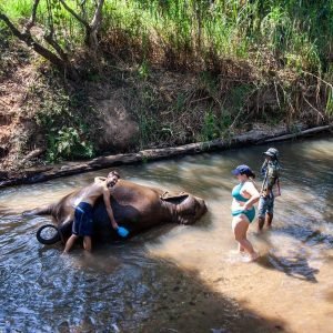 Elephant Sanctuary