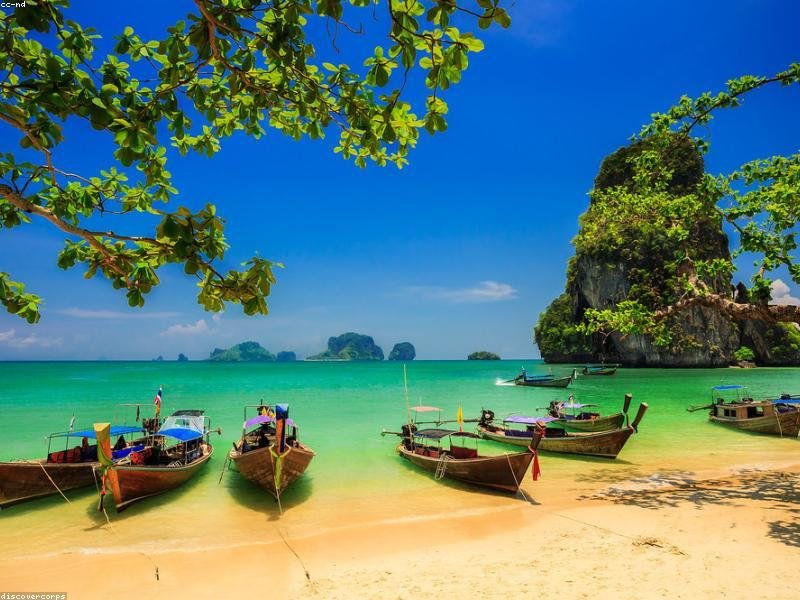 Phi Phi Islands